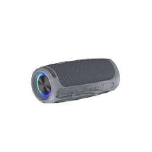 20W ProSound Wireless Speaker